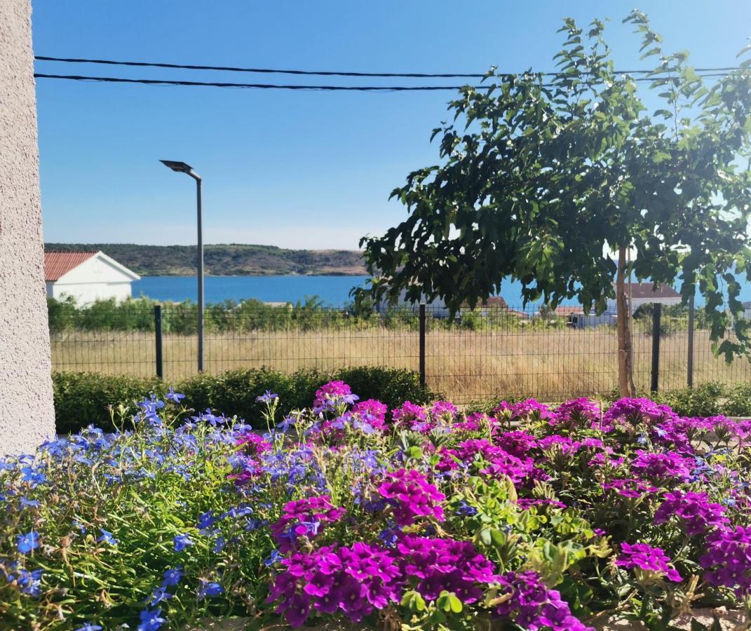 Apartmani Darko Rtina Buitenkant foto